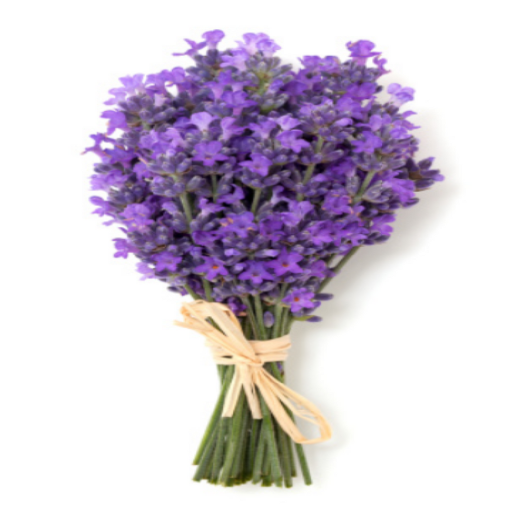 Exfoliating Anti-Aging Body Scrub - Lavender Fragrance